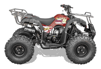 Vitacci Rider 9 Utility, 125cc, Automatic with reverse, Electric start, Throttle Control, Youth Mid-Size For Kid 12-Year-old and Up Utility ATV