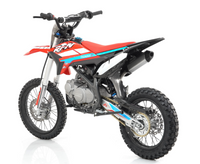 Apollo Thunder T20 Full Size Dirt Pit Bike, 4 Speed Manual, Kick Start, 34 Inch Seat Height, 17 inch front tire