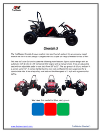 Trailmaster Cheetah 3, 80cc, Youth Single Seat Go Kart,  Pull Start , Automatic, Roll bar, Seat Belt.