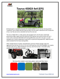 Trailmaster Taurus 450-GX Long Roof 4 Seat UTV / Golf Cart Style / side-by-side 4X4 with High/Low Gear- Rear Seat Converts to Cargo area.