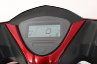 Trailmaster Trophy 150cc, Electric start, Disk Brakes, CDI ignition, Color Matched Locking Trunk (Optional)