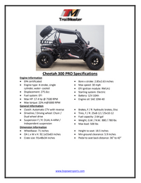 Trailmaster Cheetah 300PRO EFI, Water Cooled, Side Doors, Hard Top, 25" Tires, CVT Trans, 18 HP, Windshield, Light Bar