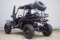 Trailmaster Cheetah 300PRO EFI, Water Cooled, Side Doors, Hard Top, 25" Tires, CVT Trans, 18 HP, Windshield, Light Bar
