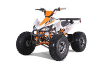 Tao Cheetah Platinum, Youth ATV, 120cc, Chrome Rims, Automatic Trans with Reverse, Race Inspired Suspension, Chrome Rims, Powder Coated Color Matched Suspension