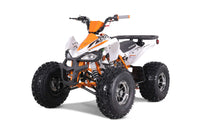 Tao Cheetah Platinum 120cc Youth ATV, Automatic with Reverse, Chrome Rims, Front & Rear Adjustable Shocks, Powder Coated Frame, Race Inspired Suspension, LED Lights
