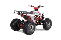 Tao Cheetah Platinum, Youth ATV, 120cc, Chrome Rims, Automatic Trans with Reverse, Race Inspired Suspension, Chrome Rims, Powder Coated Color Matched Suspension