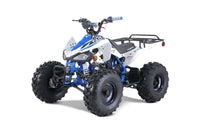 Tao Cheetah G125 107cc Youth ATV, Automatic with Reverse, Front & Rear Adjustable Shocks, Powder Coated Frame, 19 Inch Tires, Race Style