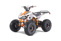 Tao Cheetah G125 107cc Youth ATV, Automatic with Reverse, Front & Rear Adjustable Shocks, Powder Coated Frame, 19 Inch Tires, Race Style