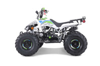 Tao Cheetah G125 107cc Youth ATV, Automatic with Reverse, Front & Rear Adjustable Shocks, Powder Coated Frame, 19 Inch Tires, Race Style