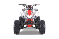 Tao Cheetah G125 107cc Youth ATV, Automatic with Reverse, Front & Rear Adjustable Shocks, Powder Coated Frame, 19 Inch Tires, Race Style