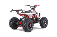 Tao Cheetah G125 107cc Youth ATV, Automatic with Reverse, Front & Rear Adjustable Shocks, Powder Coated Frame, 19 Inch Tires, Race Style