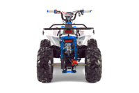 Tao Cheetah G125 107cc Youth ATV, Automatic with Reverse, Front & Rear Adjustable Shocks, Powder Coated Frame, 19 Inch Tires, Race Style