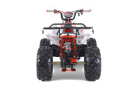 Tao Cheetah G125 107cc Youth ATV, Automatic with Reverse, Front & Rear Adjustable Shocks, Powder Coated Frame, 19 Inch Tires, Race Style