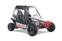 Tao Baja 200 Adult Off Road Go Kart,169cc Air Cooled. Automatic Trans with Reverse, Hydraulic Disc Brakes, LED Head Lights
