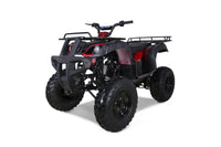 Tao Bull 150 149cc Adult ATV, Automatic with Reverse, CVT Belt Drive, LED Headlights, Hydraulic Disc Brakes, Metal Cargo Racks, 23 Inch Tires