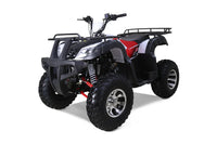 Tao Bull 200S 169cc Adult ATV, Automatic with Reverse, Electric Start, Digital LCD Display, LED Lights, Hydraulic Disc Brakes, Alloy Rims