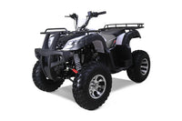 Tao Bull 200S 169cc Adult ATV, Automatic with Reverse, Electric Start, Digital LCD Display, LED Lights, Hydraulic Disc Brakes, Alloy Rims