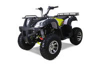 Tao Bull 200S 169cc Adult ATV, Automatic with Reverse, Electric Start, Digital LCD Display, LED Lights, Hydraulic Disc Brakes, Alloy Rims