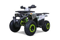 Tao Raptor G200 169cc Adult ATV, Automatic CVT with Reverse, Electric Start, Hydraulic Disc Brakes, LED Headlights, Digital Display, Bead Lock Rims