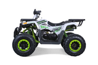 Tao Raptor G200 169cc Adult ATV, Automatic CVT with Reverse, Electric Start, Hydraulic Disc Brakes, LED Headlights, Digital Display, Bead Lock Rims
