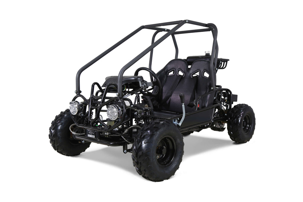 Tao Motor GK110 110cc Kids Go-Kart, Automatic with Reverse, Electric Start, 2 Seats, Hydraulic Disc Brakes, Speed Limiter