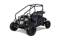 Tao Motor GK110 110cc Kids Go-Kart, Automatic with Reverse, Electric Start, 2 Seats, Hydraulic Disc Brakes, Speed Limiter