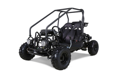 Tao Motor GK110 110cc Kids Go-Kart, Automatic with Reverse, Electric Start, 2 Seats, Hydraulic Disc Brakes, Speed Limiter