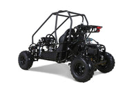 Tao Motor GK110 110cc Kids Go-Kart, Automatic with Reverse, Electric Start, 2 Seats, Hydraulic Disc Brakes, Speed Limiter