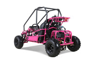 Tao Motor GK110 110cc Kids Go-Kart, Automatic with Reverse, Electric Start, 2 Seats, Hydraulic Disc Brakes, Speed Limiter