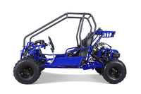 Tao Motor GK110 110cc Kids Go-Kart, Automatic with Reverse, Electric Start, 2 Seats, Hydraulic Disc Brakes, Speed Limiter