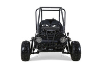 Tao Motor GK110 110cc Kids Go-Kart, Automatic with Reverse, Electric Start, 2 Seats, Hydraulic Disc Brakes, Speed Limiter