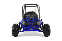 Tao Motor GK110 110cc Kids Go-Kart, Automatic with Reverse, Electric Start, 2 Seats, Hydraulic Disc Brakes, Speed Limiter