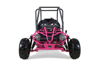 Tao Motor GK110 110cc Kids Go-Kart, Automatic with Reverse, Electric Start, 2 Seats, Hydraulic Disc Brakes, Speed Limiter