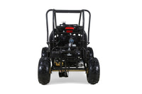 Tao Motor GK110 110cc Kids Go-Kart, Automatic with Reverse, Electric Start, 2 Seats, Hydraulic Disc Brakes, Speed Limiter