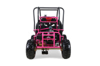 Tao Motor GK110 110cc Kids Go-Kart, Automatic with Reverse, Electric Start, 2 Seats, Hydraulic Disc Brakes, Speed Limiter