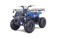 Tao T Force T125, Mid Size ATV, Adjustable Shocks,  Electric Start,  Remote Engine Kill, 107 cc, Larger Sprocket, Automatic with Reverse