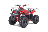 Tao T Force T125, Mid Size ATV, Adjustable Shocks,  Electric Start,  Remote Engine Kill, 107 cc, Larger Sprocket, Automatic with Reverse