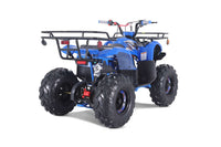 Tao T-Force T125 107cc Youth ATV, Adjustable Shocks, Electric Start, Remote Engine Kill, Larger Sprocket, Automatic with Reverse