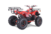 Tao T Force T125, Mid Size ATV, Adjustable Shocks,  Electric Start,  Remote Engine Kill, 107 cc, Larger Sprocket, Automatic with Reverse