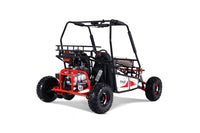 Tao Triton 125 Youth Off Road Go Kart, 120cc Air Cooled, Electric Start. Automatic with Reverse, CDI ignition,