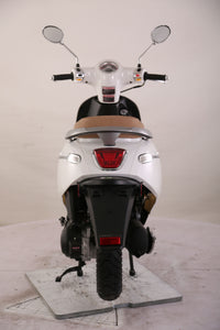 Trailmaster Turino 200. 170cc. Automatic CVT trans, Electric Start, Great European Styling, LCG Speedometer and Gauges, 12 Inch Rims, 31.9 inch seat height