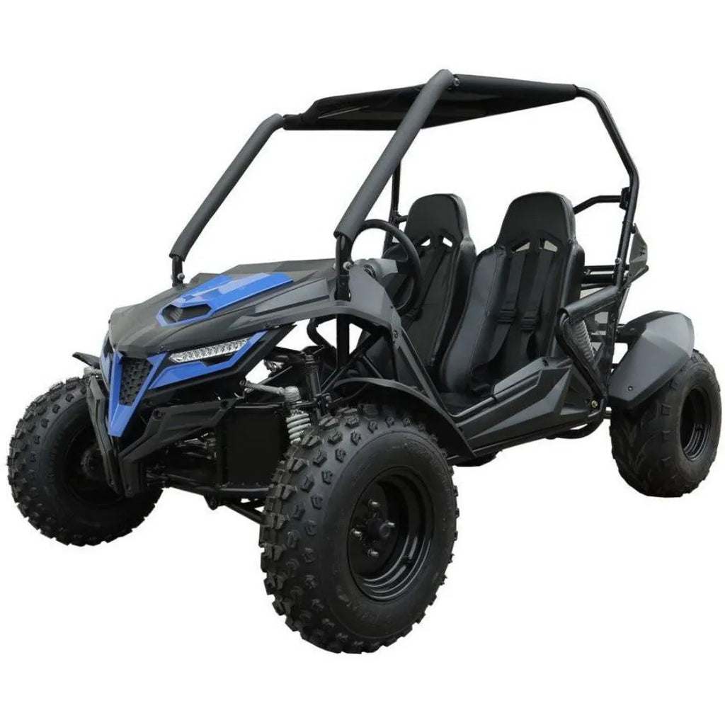 Trailmaster Cheetah 200E Off Road UTV / Go Kart /  Fuel Injected, Upgraded Rear End Suspension, Body Kit to keep you drier, Disk Brakes
