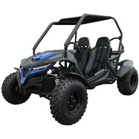 Trailmaster Cheetah 200E Off Road UTV / Go Kart /  Fuel Injected, Upgraded Rear End Suspension, Body Kit to keep you drier, Disk Brakes