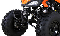 Tao Cheetah G125 Race Style, 107cc Sport Model Ultra Quad - Fully Automatic with Reverse - 19" Tires. CA Legal