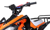 Tao Cheetah G125 Race Style, 107cc Sport Model Ultra Quad - Fully Automatic with Reverse - 19" Tires. CA Legal