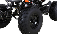 Tao Cheetah G125 Race Style, 107cc Sport Model Ultra Quad - Fully Automatic with Reverse - 19" Tires. CA Legal