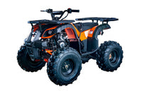 Vitacci Rider 10 125cc Youth ATV, Automatic with Reverse, Hand Shift, Electric Start, Front Drum & Rear Disc Brakes, Remote Shut Off