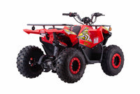 Vitacci IRide 125cc Mid Size Youth ATV, Electric Start, Automatic Trans, Reverse, Over head Cam, Balanced Shaft Engine