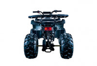 Vitacci Rider 10 125cc Youth ATV, Automatic with Reverse, Hand Shift, Electric Start, Front Drum & Rear Disc Brakes, Remote Shut Off