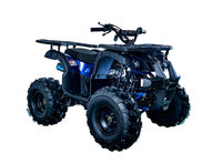 Vitacci Rider 10 125cc Youth ATV, Automatic with Reverse, Hand Shift, Electric Start, Front Drum & Rear Disc Brakes, Remote Shut Off